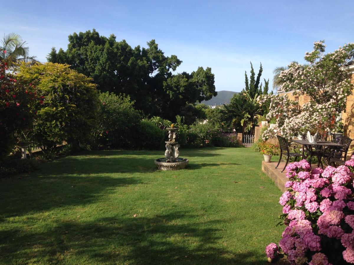 Bed and Breakfast Blue Fern Of Knysna Exterior foto