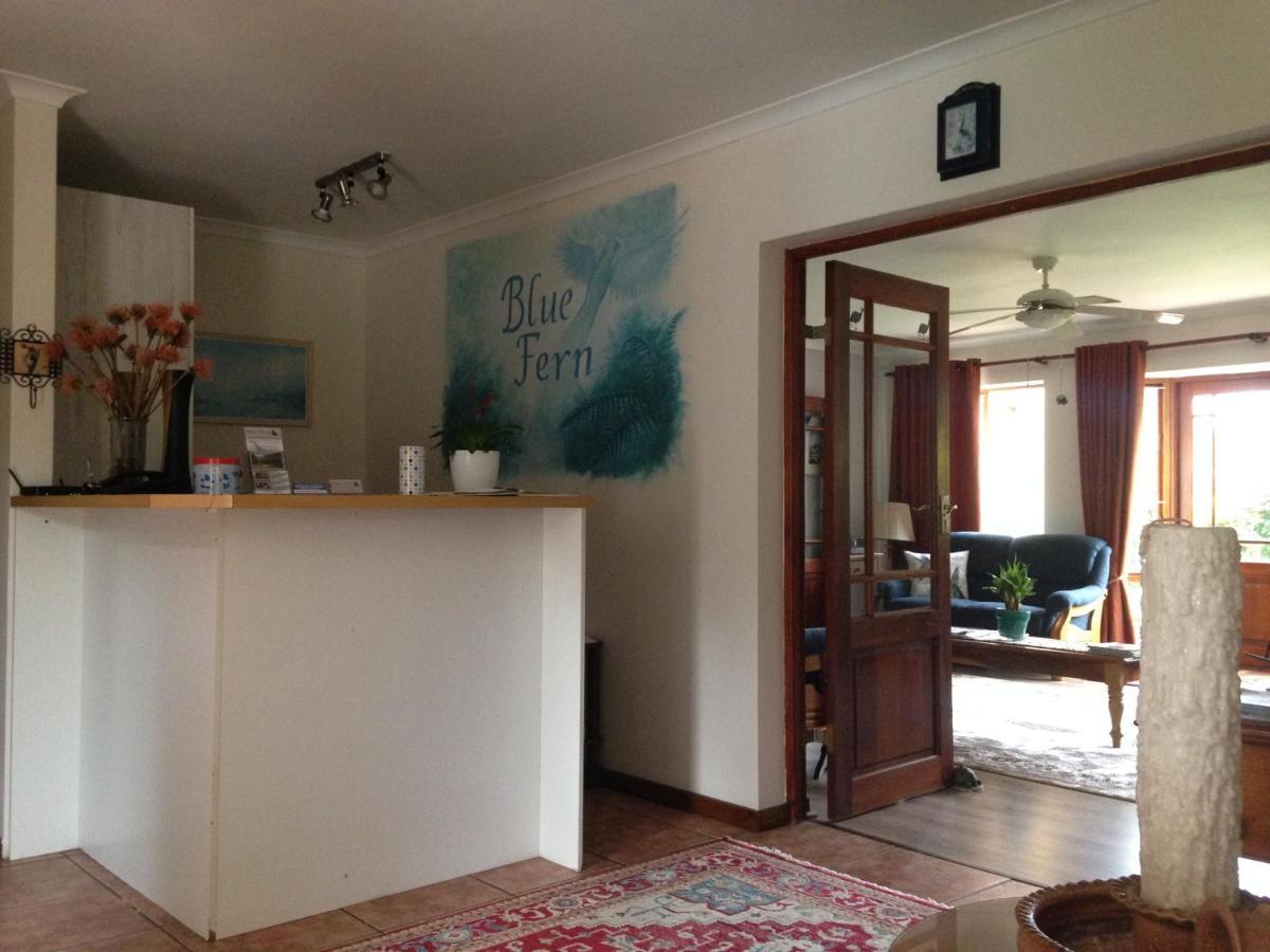 Bed and Breakfast Blue Fern Of Knysna Exterior foto