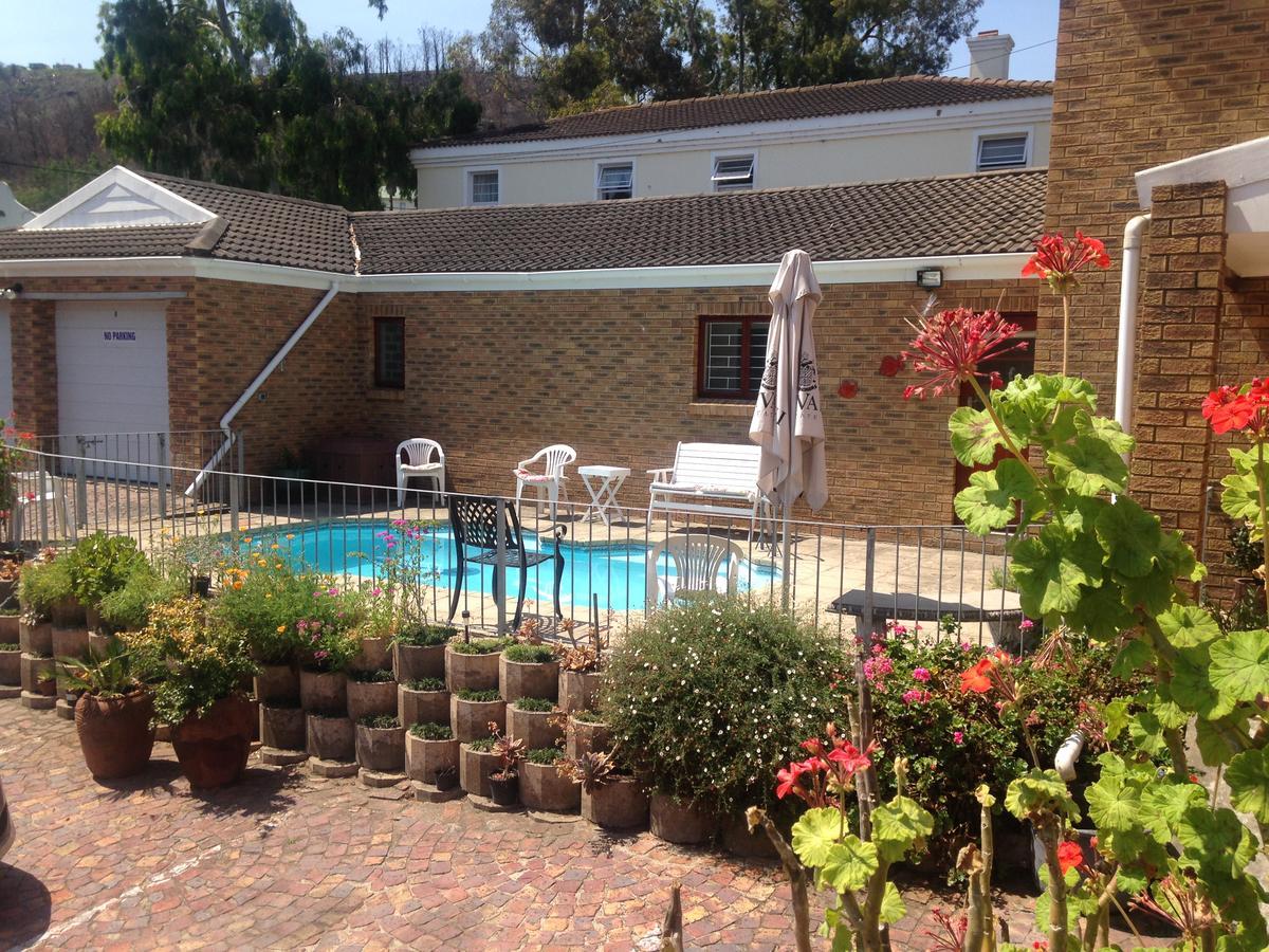 Bed and Breakfast Blue Fern Of Knysna Exterior foto